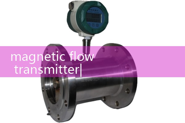 magnetic flow transmitter